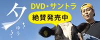 ��ͼ��DVD�仿ȯ���桪